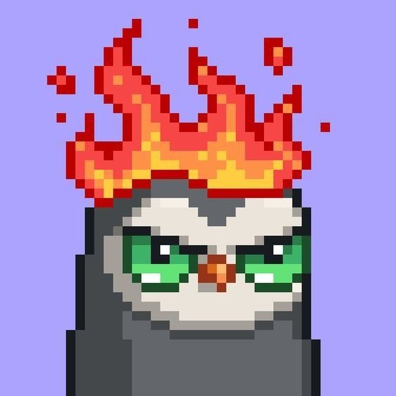 Flagger Avatar
